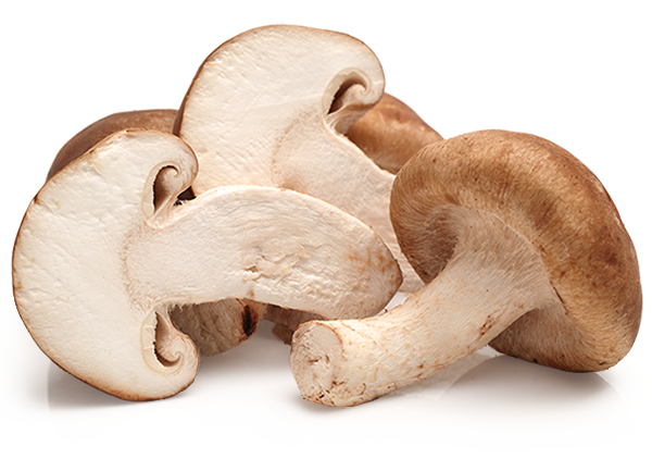 Shitake Mushrooms